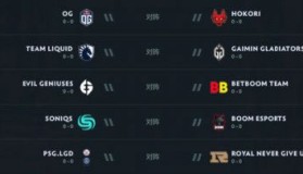 八、 突发状况与争议事件